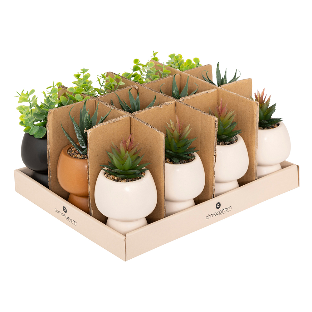 atmosphera-artificial-succulent-livy-plant-in-pot-3-assorted-colours