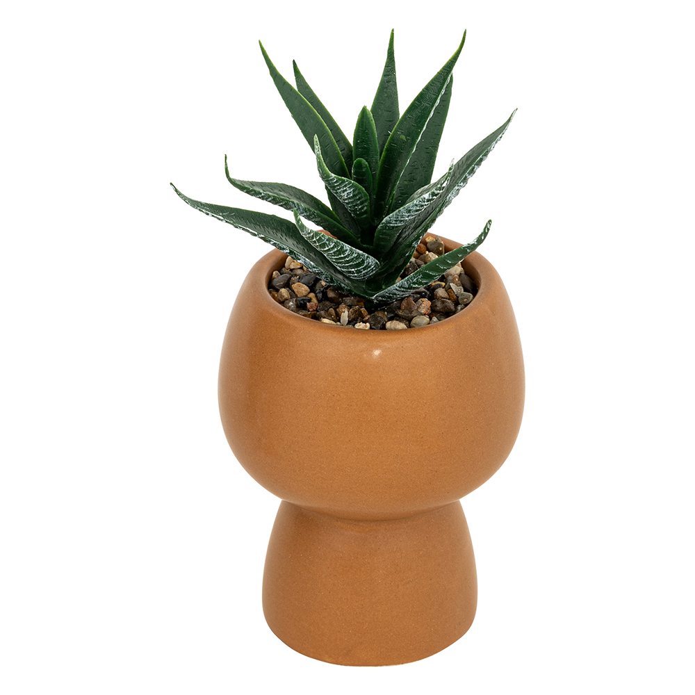 atmosphera-artificial-succulent-livy-plant-in-pot-3-assorted-colours