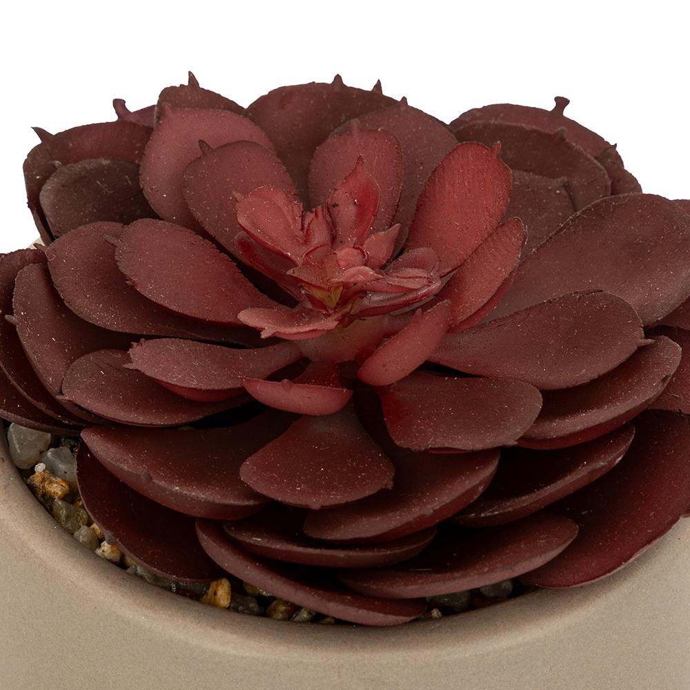 atmosphera-artificial-succulent-plant-in-pot-3-assorted-designs