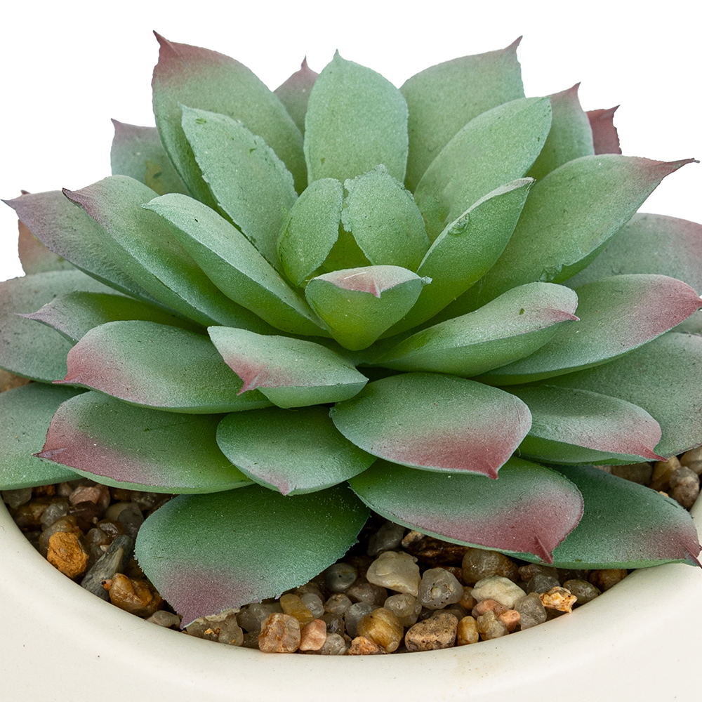 atmosphera-artificial-succulent-plant-in-pot-3-assorted-designs