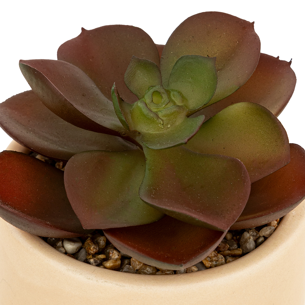 atmosphera-artificial-succulent-plant-in-pot-3-assorted-designs