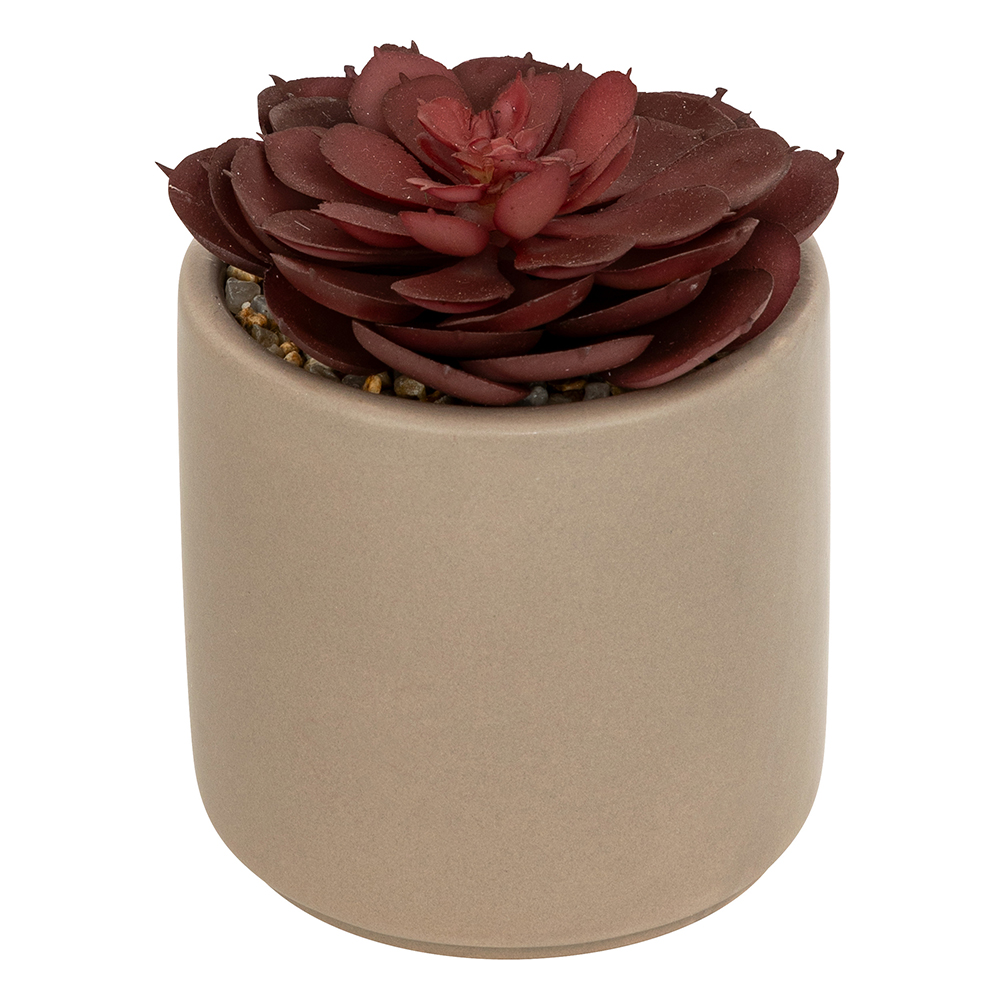 atmosphera-artificial-succulent-plant-in-pot-3-assorted-designs