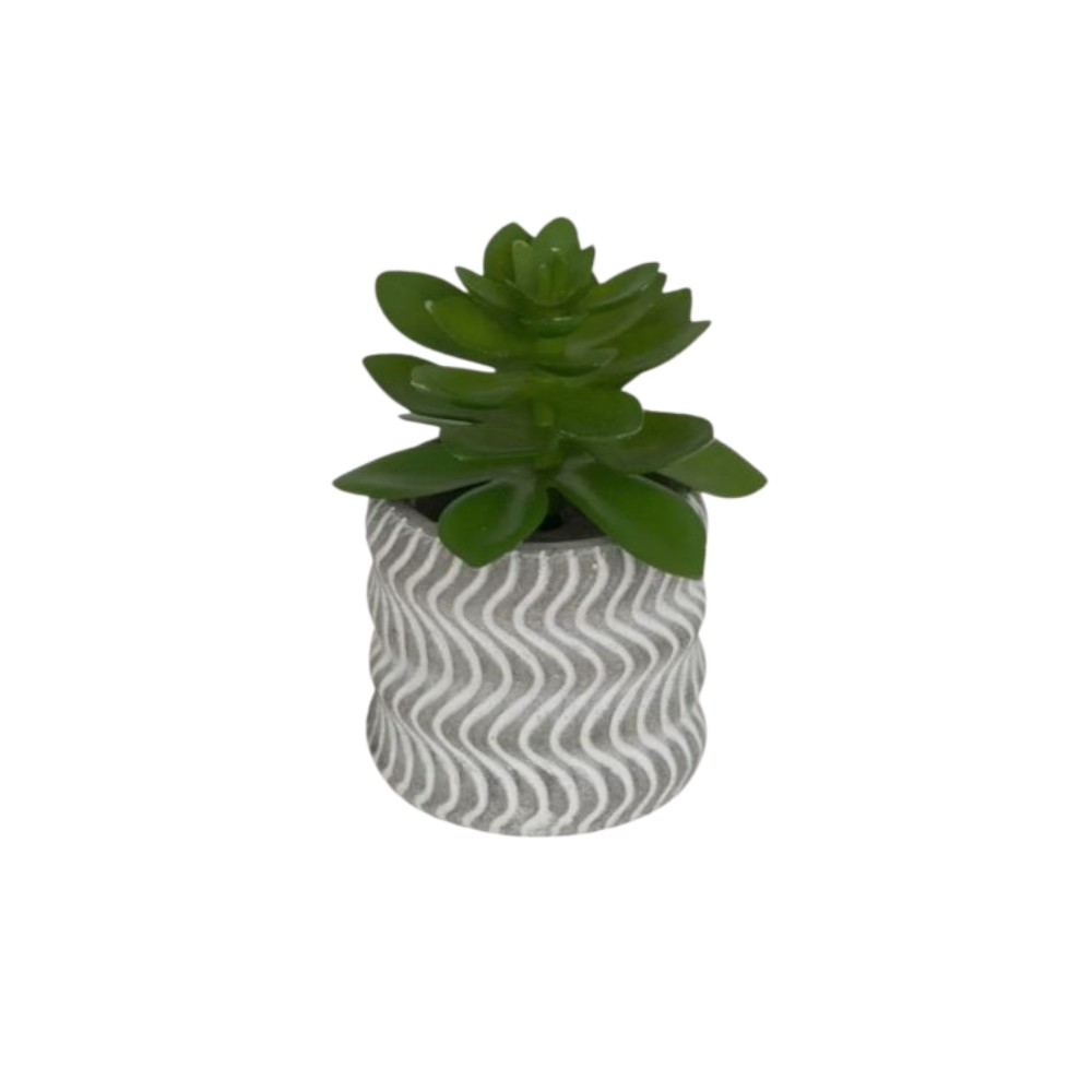 atmosphera-small-artificial-plant-ubi-indoor-7-cm-2-assorted-designs-4-assorted-colours