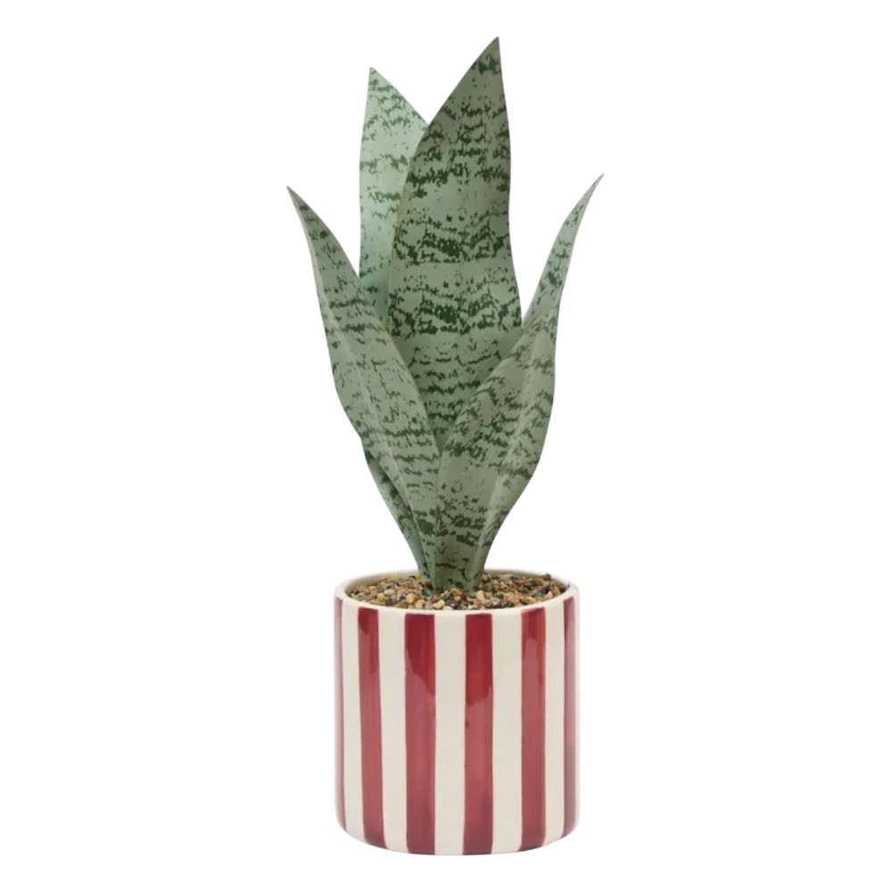 atmosphera-artificial-plant-in-a-pot-snake-plant-ceramic-38-cm-3-assorted-designs
