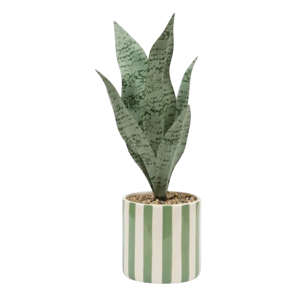 atmosphera-artificial-plant-in-a-pot-snake-plant-ceramic-38-cm-3-assorted-designs