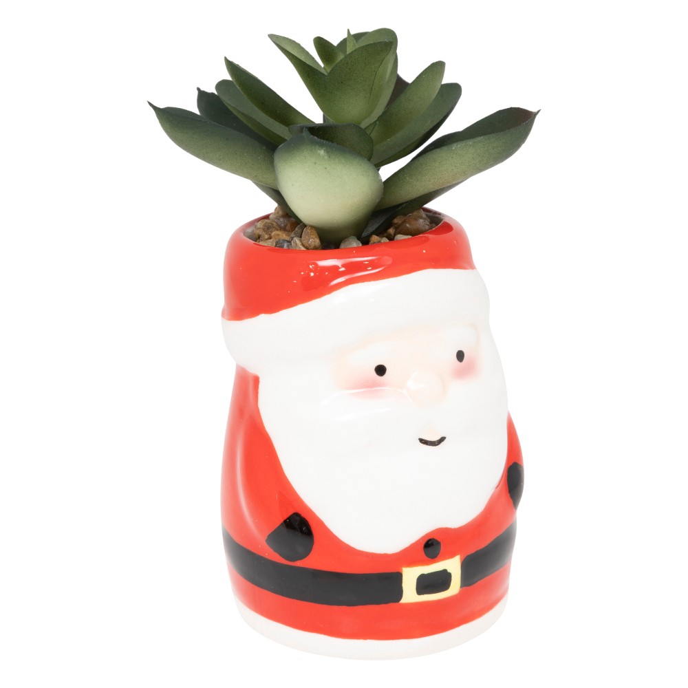 atmosphera-christmas-potted-plant-ceramic-2-assorted-11cm