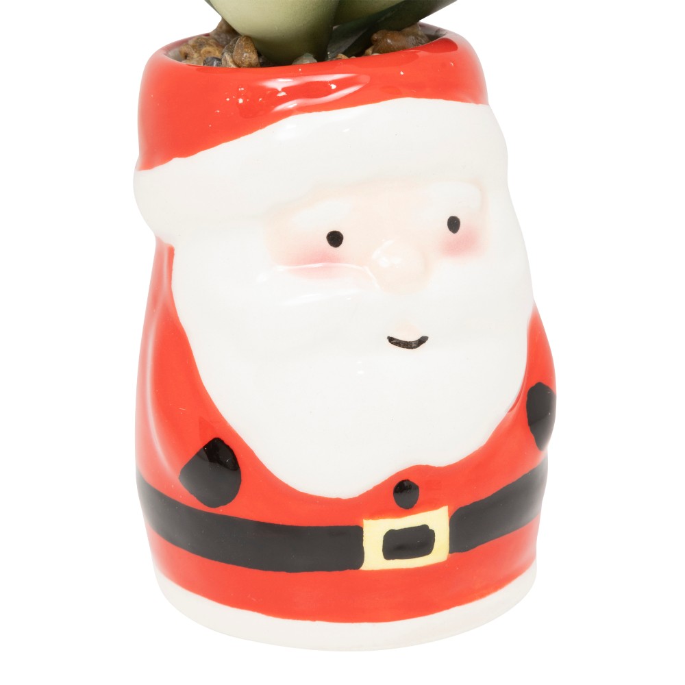 atmosphera-christmas-potted-plant-ceramic-2-assorted-11cm