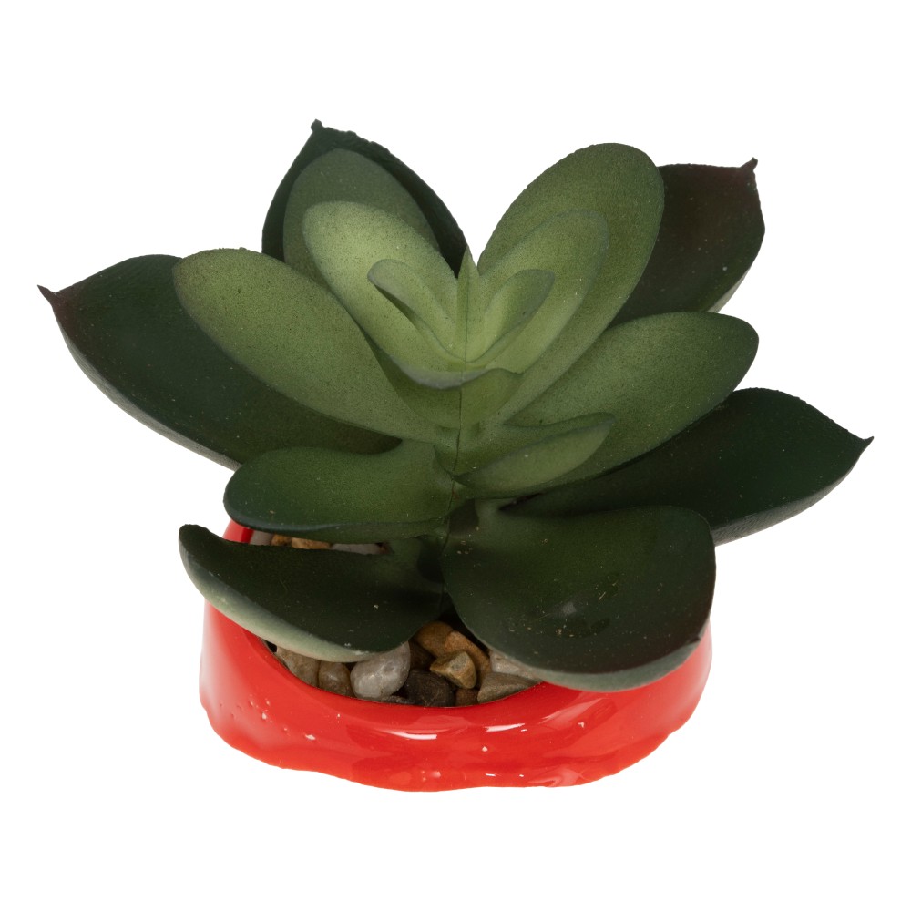atmosphera-christmas-potted-plant-ceramic-2-assorted-11cm