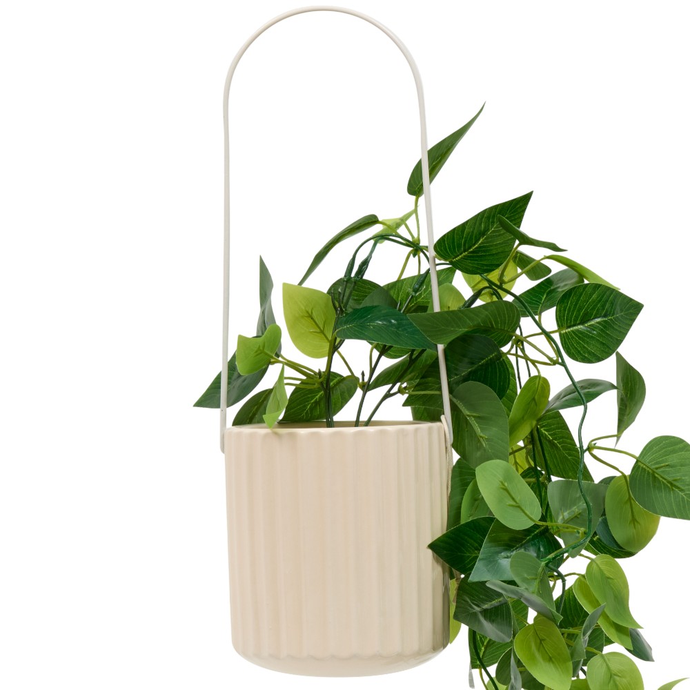 hanging-plant-crmc-pool-h82-atmosphera