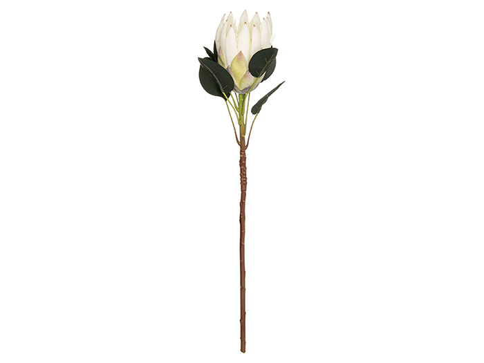 artificial-protea-flower-72-cm-2-assorted-colours