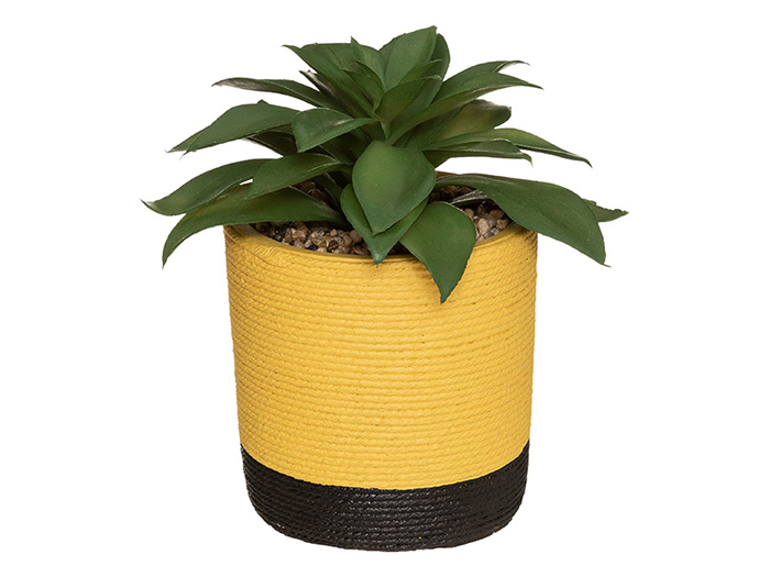 atmosphera-artificial-plant-in-cement-pot-2-assorted-types-18-cm