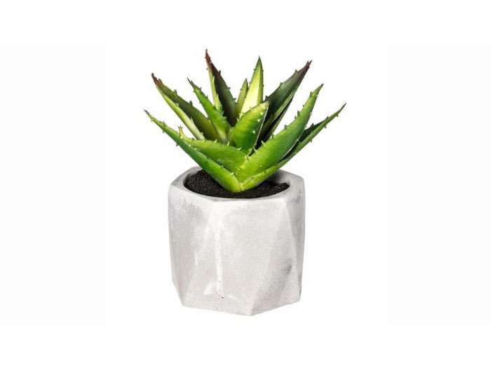 atmosphera-artificial-plant-in-decorative-pot-7-x-14-cm