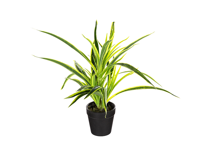 artificial-plant-in-pot-3-assorted-types-30cm