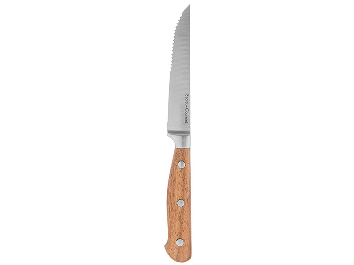 5five-elegancia-steak-knife-23cm