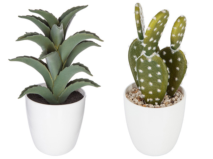 artificial-cactus-plant-in-pot-6-assorted-types