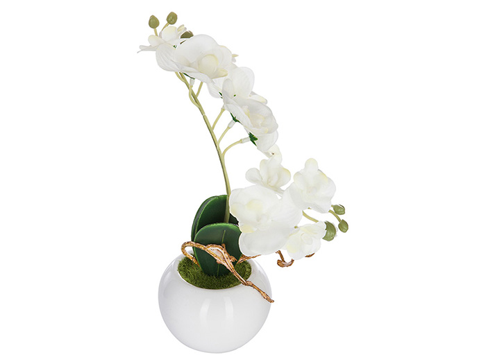 artificial-orchid-plant-in-ceramic-white-pot-27-7-cm-2-assorted-types