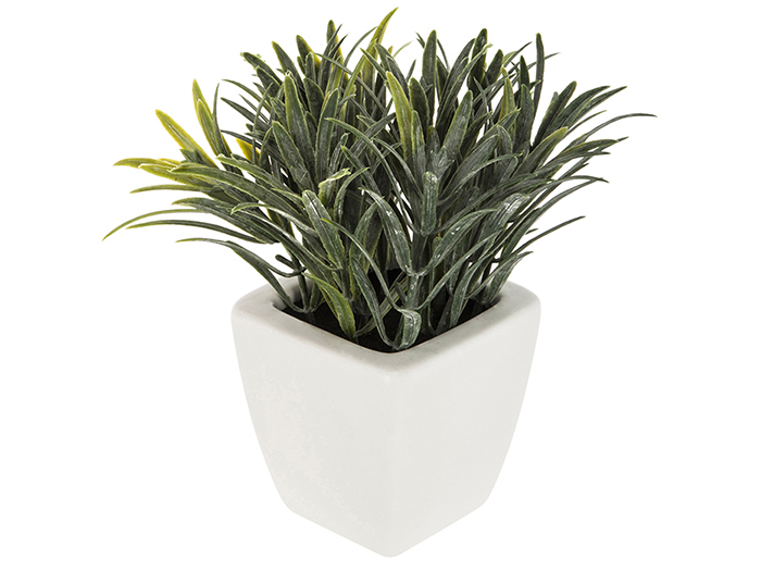 artificial-green-plant-in-white-pot-15-cm-3-assorted-types