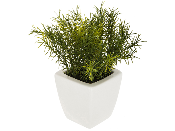 artificial-green-plant-in-white-pot-15-cm-3-assorted-types
