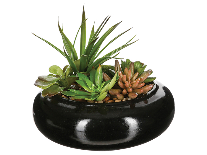 artificial-cactai-assortment-in-black-ceramic-pot-20cm