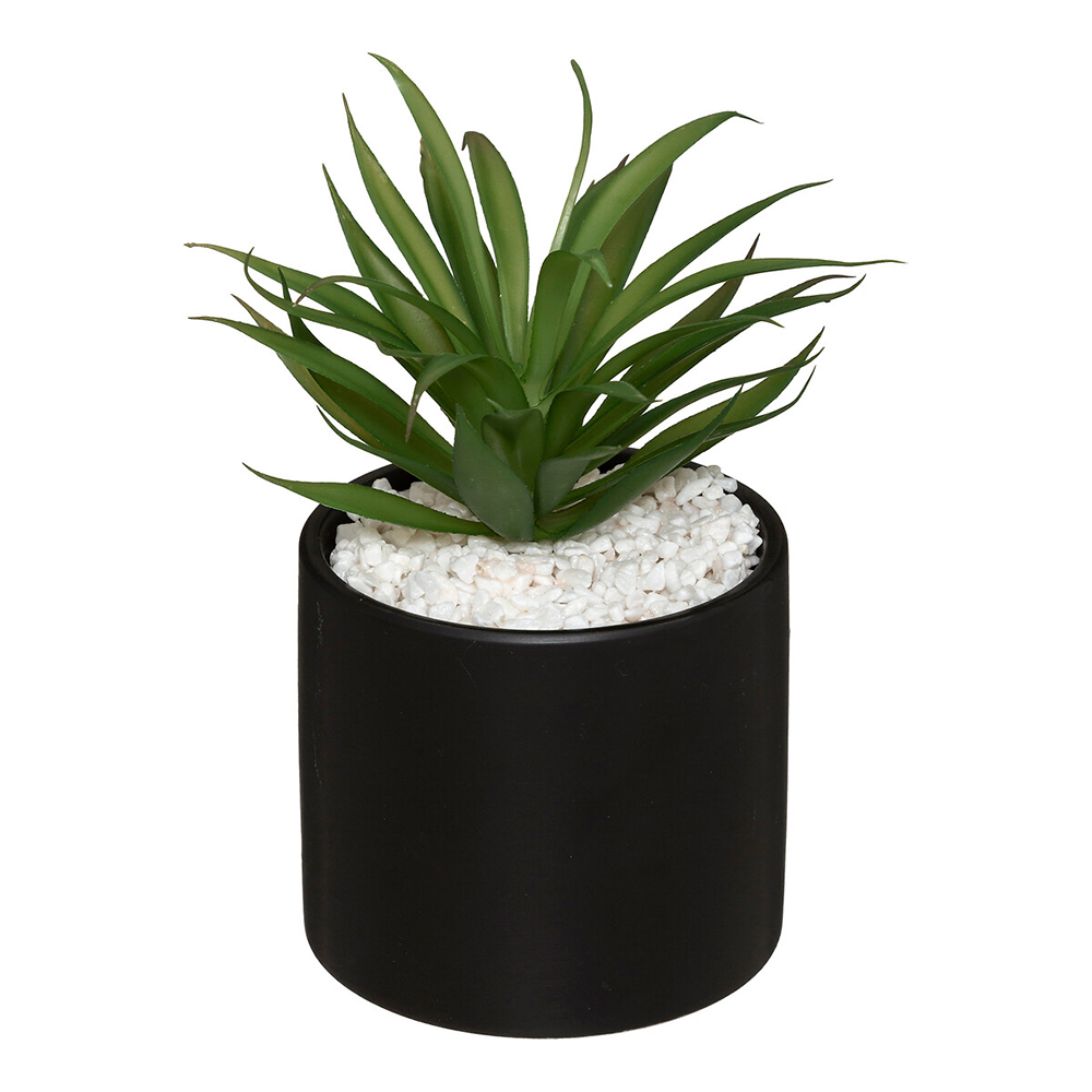 atmosphera-artificial-aloe-vera-plant-in-marble-pot-17-5cm-2-assorted-colours