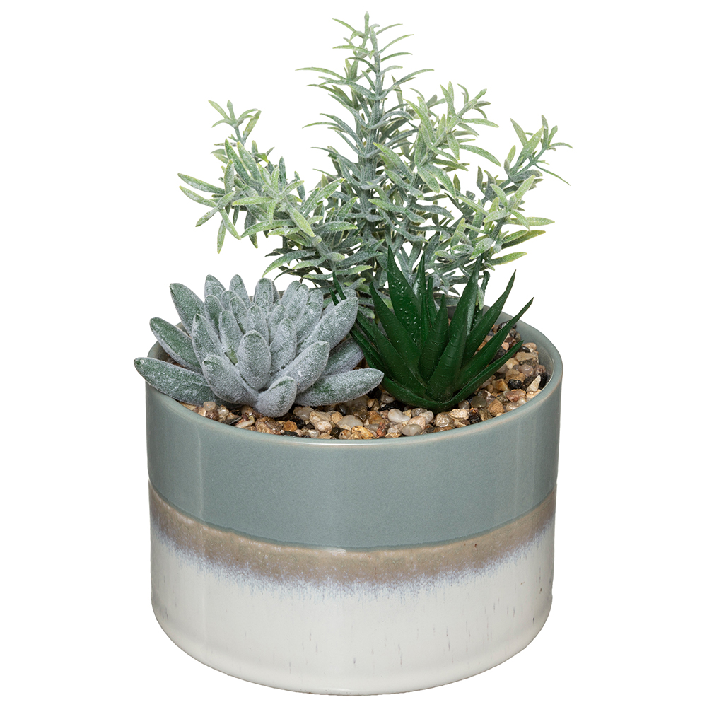 atmosphera-artificial-cactai-plant-in-ceramic-pot-2-assorted-colours