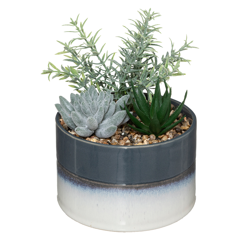 atmosphera-artificial-cactai-plant-in-ceramic-pot-2-assorted-colours