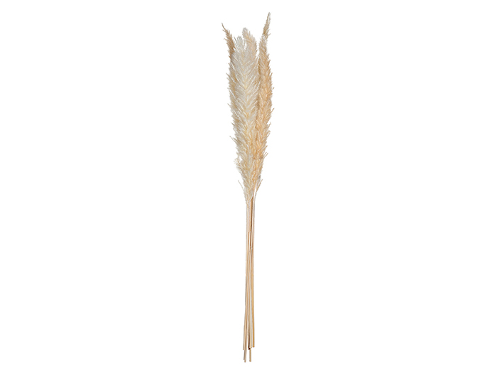 atmosphera-dried-natural-pampa-grass-stem-ivory-65cm