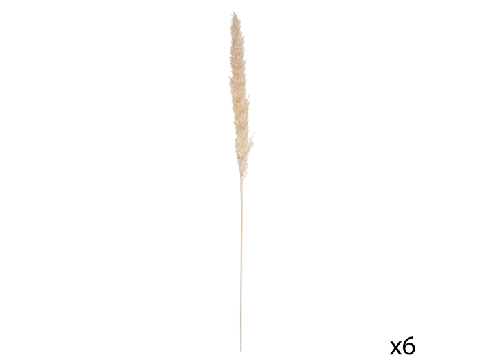atmosphera-dried-natural-pampa-grass-stem-ivory-65cm