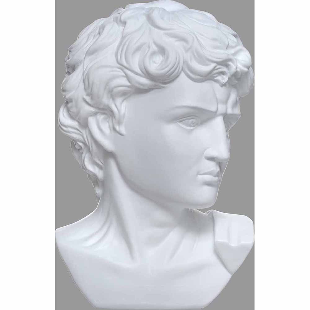 atmosphera-michelangelo-s-david-resin-head-ornament-white
