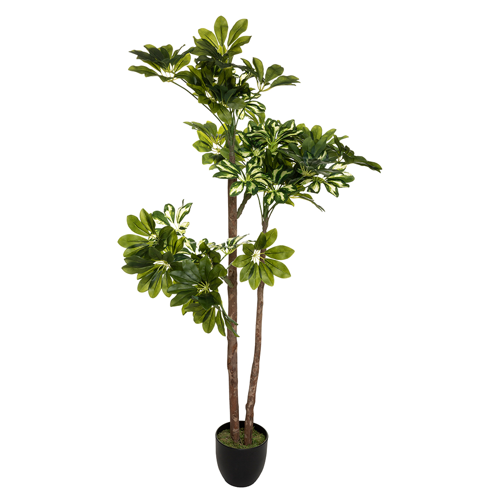 atmosphera-artificial-schefflera-plant-in-cement-pot-130
cm