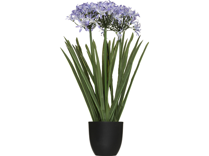 atmosphera-artificial-agapanthus-flower-in-cement-pot-2-assorted-colours