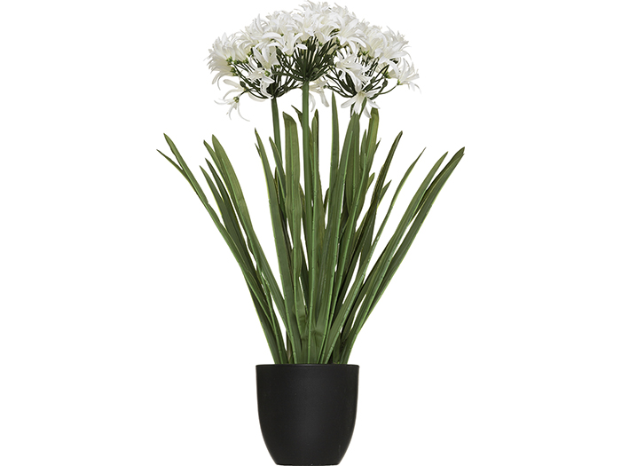 atmosphera-artificial-agapanthus-flower-in-cement-pot-2-assorted-colours