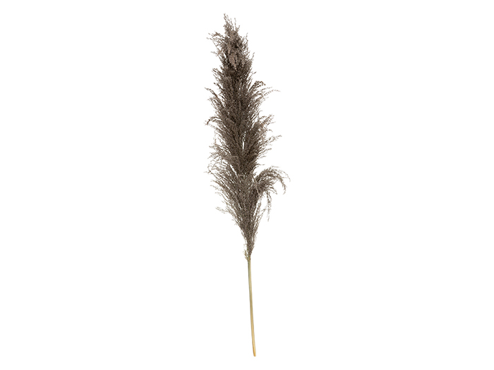 atmosphera-dried-natural-pampa-grass-brown-110cm