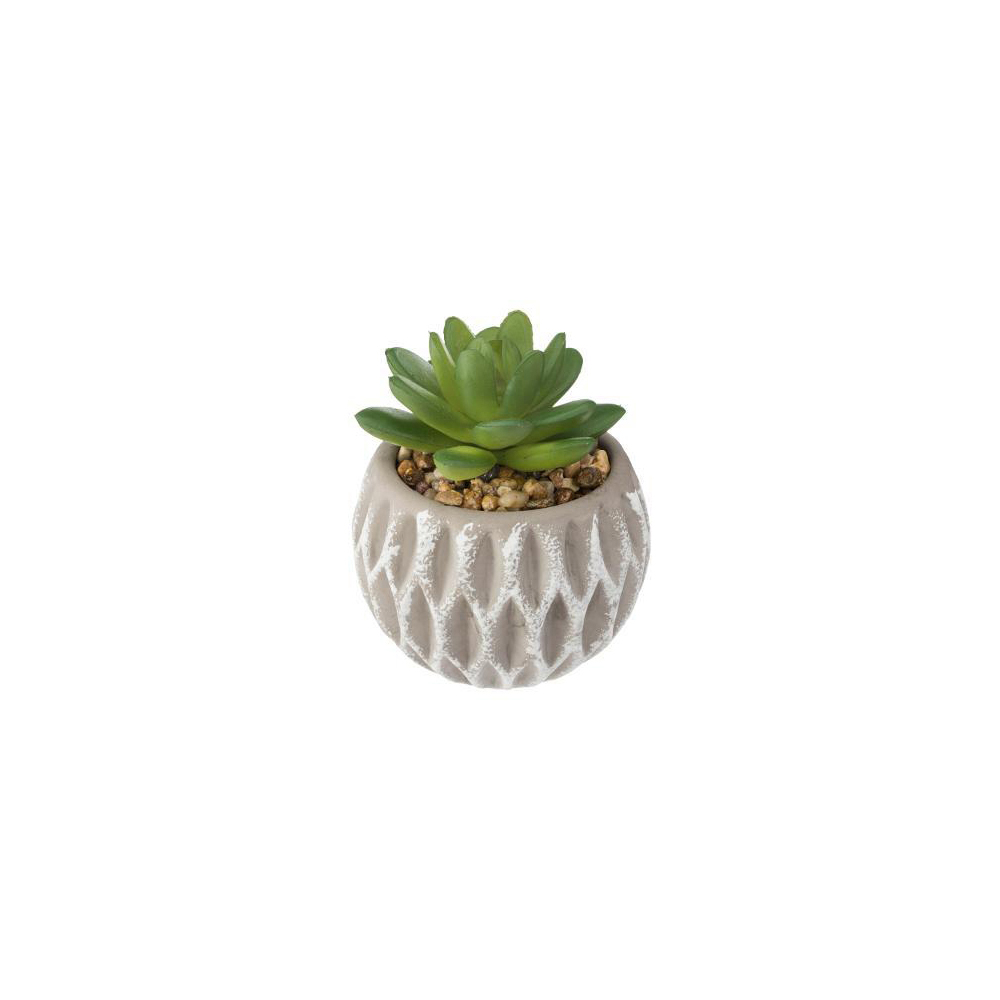 atmosphera-artificial-succulent-plant-in-cement-pot-8cm-x-9cm-2-assorted-designs
