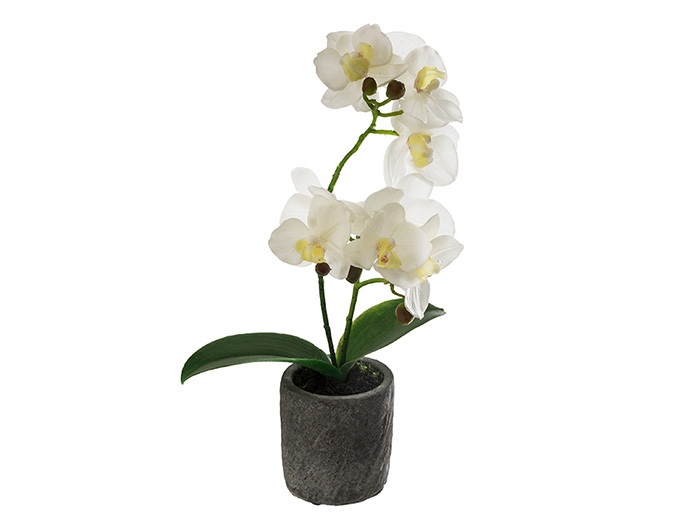 artificial-orchid-in-dark-grey-cement-pot-33-cm