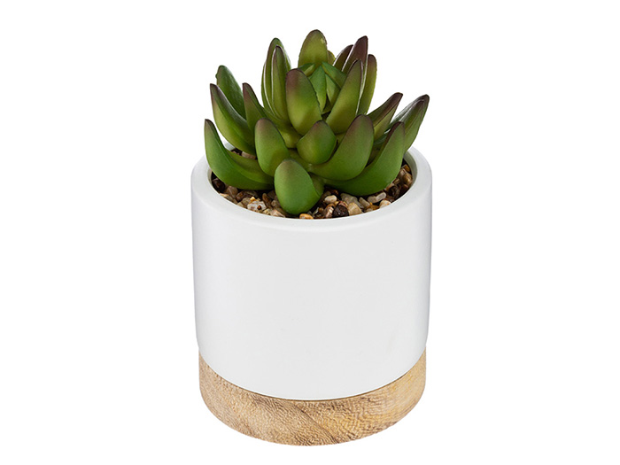 artificial-cactai-plant-in-ceramic-and-wooden-pot-9cm-x-12cm
