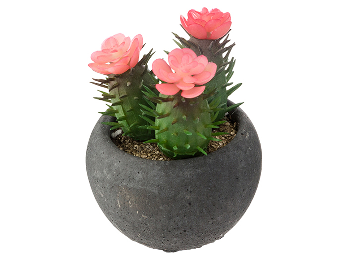 atmosphera-artificial-cactai-plant-in-dark-grey-cement-pot-4-assorted-types-6-3cm-x-11-5cm