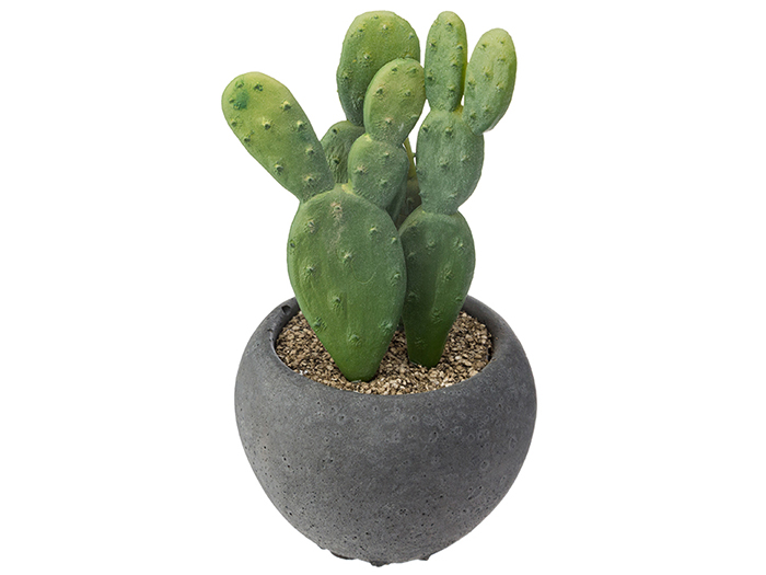 atmosphera-artificial-cactai-plant-in-dark-grey-cement-pot-4-assorted-types-6-3cm-x-11-5cm