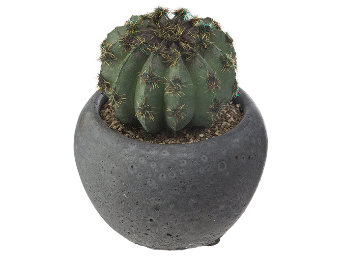 atmosphera-artificial-cactai-plant-in-dark-grey-cement-pot-4-assorted-types-6-3cm-x-11-5cm