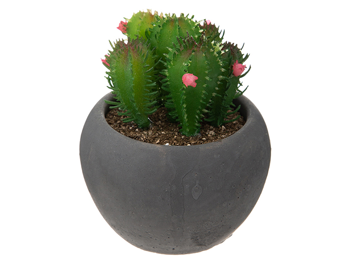 atmosphera-artificial-cactai-plant-in-dark-grey-cement-pot-4-assorted-types-6-3cm-x-11-5cm