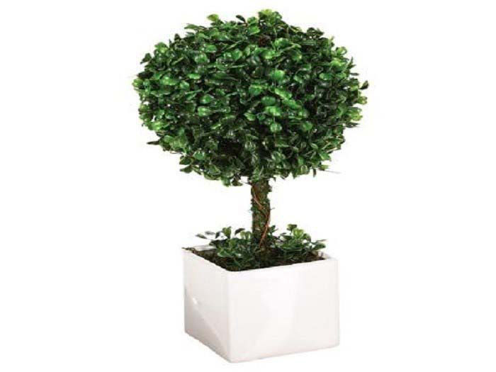 boxwood-ball-with-ceramic-pot