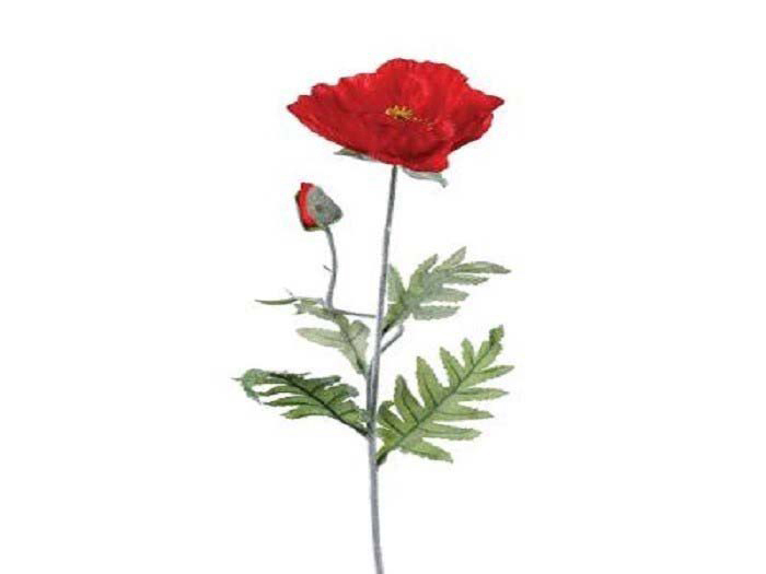 artificial-red-poppy-flower-70-cm