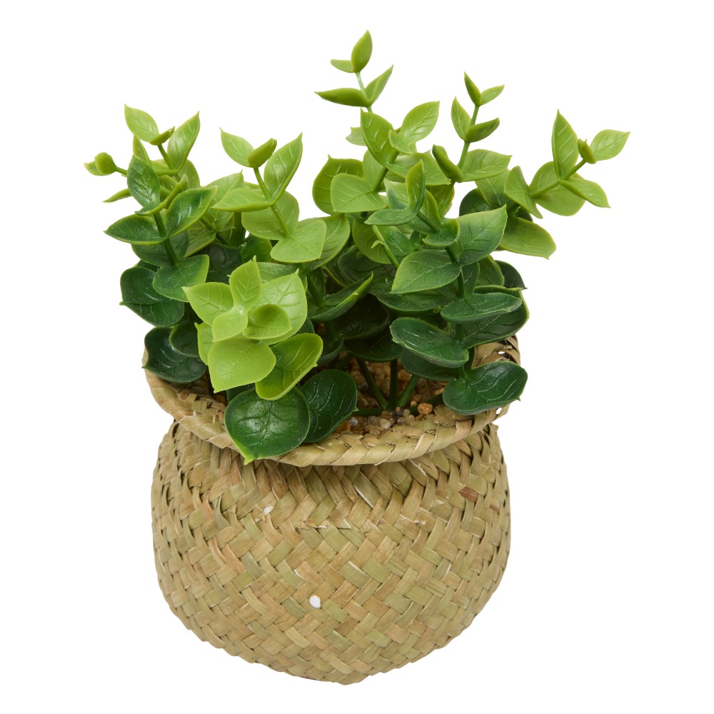 atmosphera-small-artificial-plant-jil-indoor-16-cm-3-assorted-designs