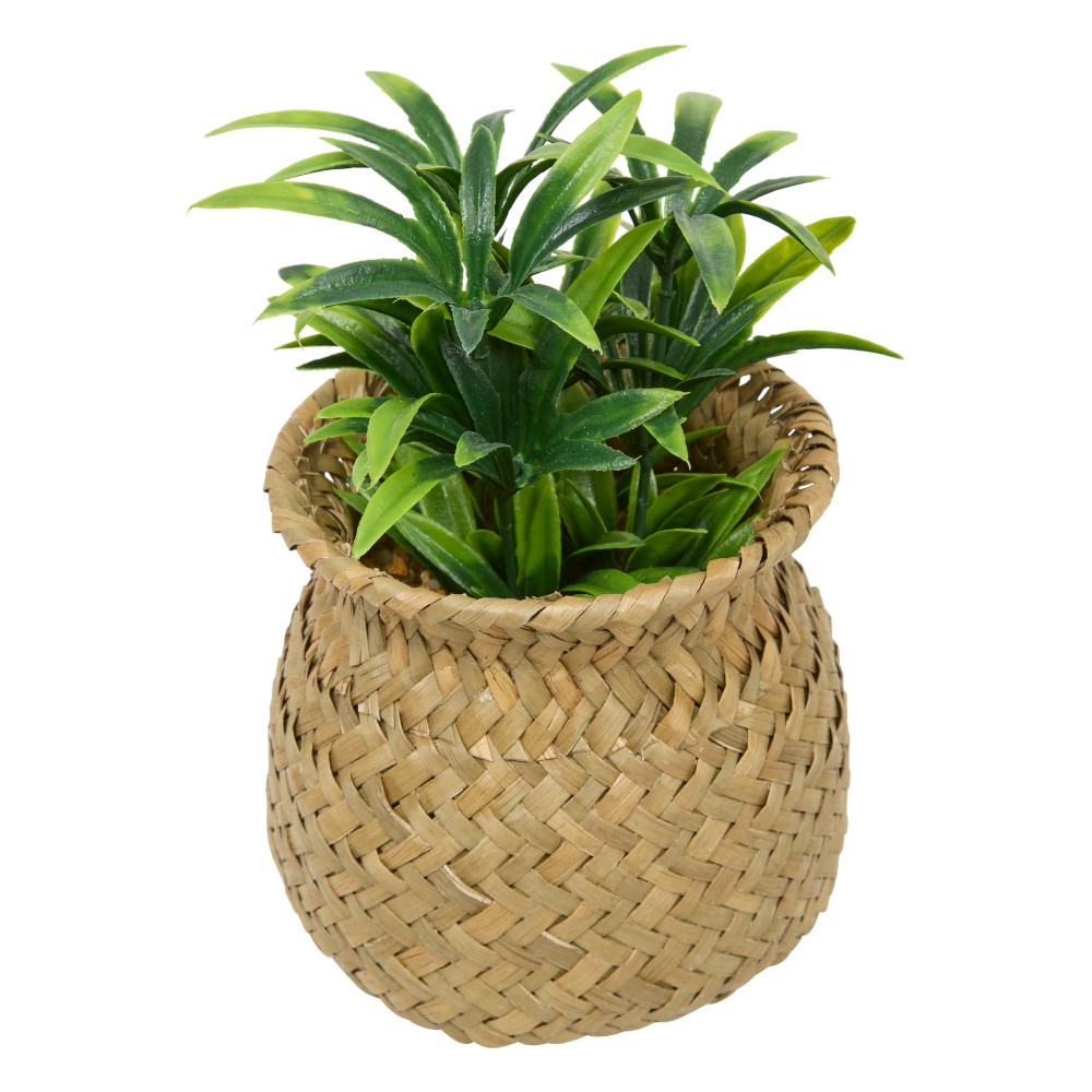 atmosphera-small-artificial-plant-jil-indoor-16-cm-3-assorted-designs