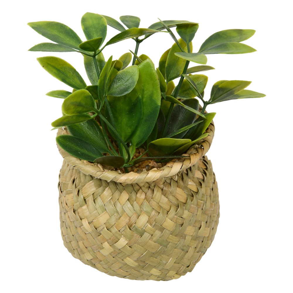 atmosphera-small-artificial-plant-jil-indoor-16-cm-3-assorted-designs