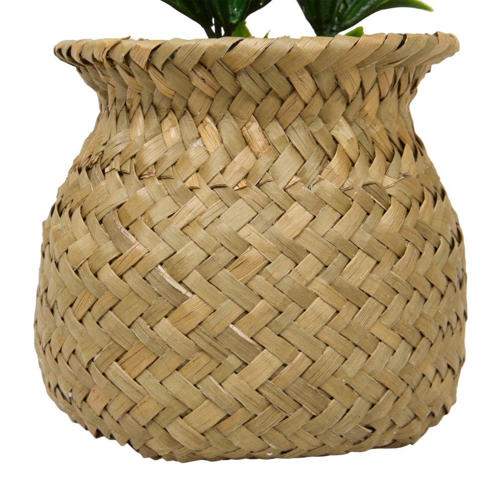 atmosphera-small-artificial-plant-jil-indoor-16-cm-3-assorted-designs