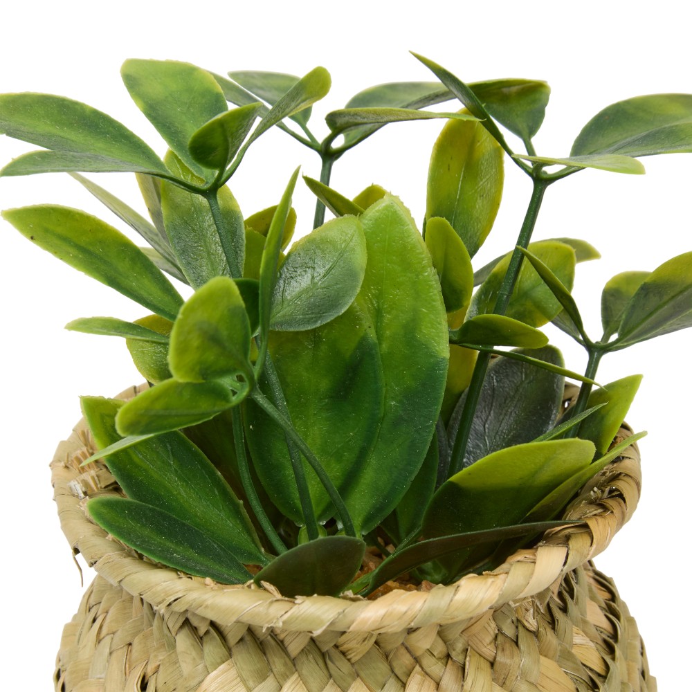 atmosphera-small-artificial-plant-jil-indoor-16-cm-3-assorted-designs
