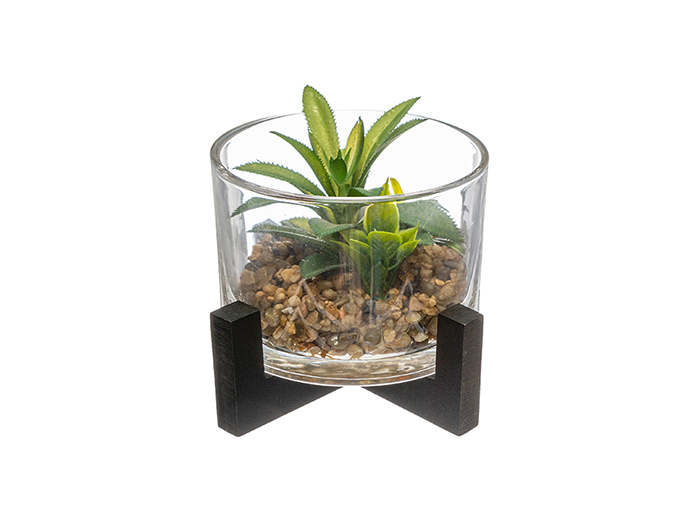 atmosphera-artificial-cactai-plant-in-glass-pot-13-cm-3-assorted-types