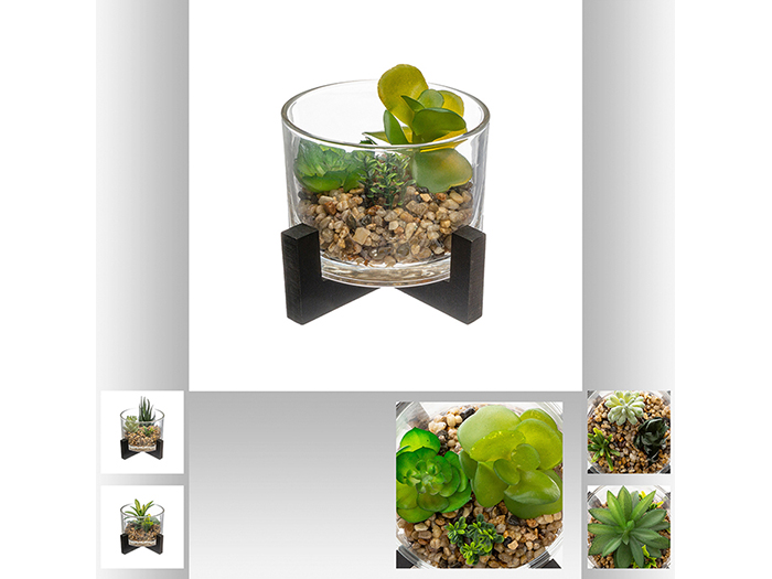 atmosphera-artificial-cactai-plant-in-glass-pot-13-cm-3-assorted-types
