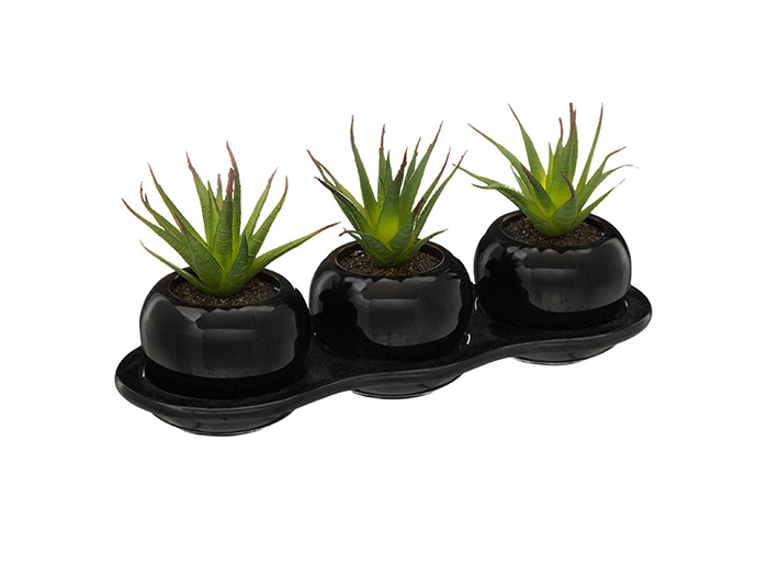 artificial-3-cactai-plants-on-tray-2-assorted-colours